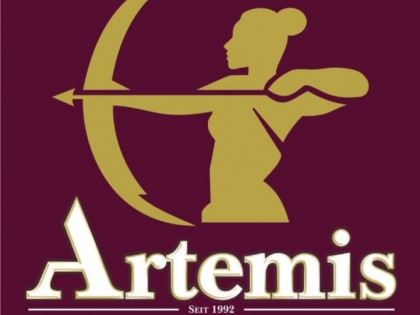 Фото: Artemis 